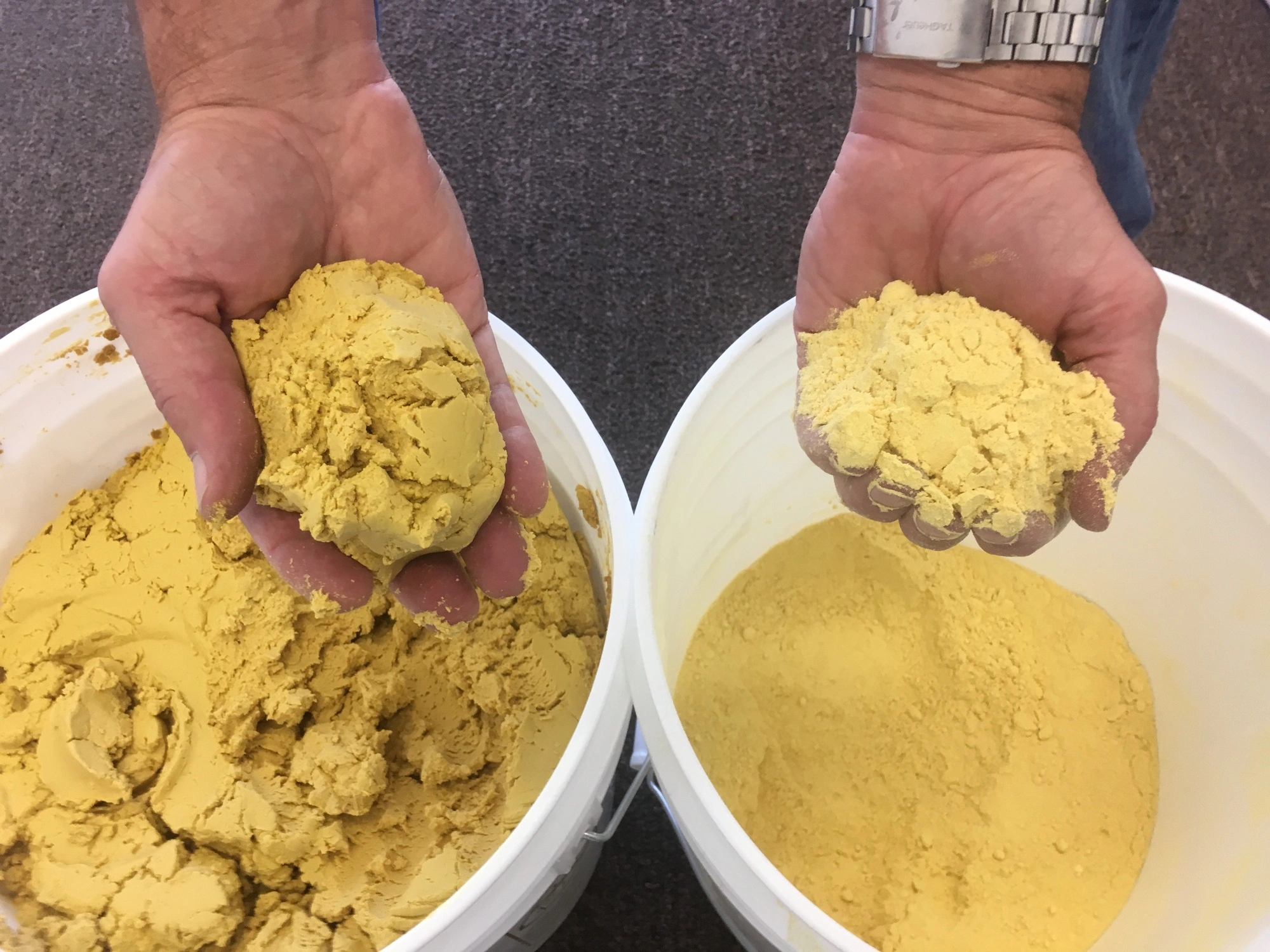 Drying Technology 6 Yeast