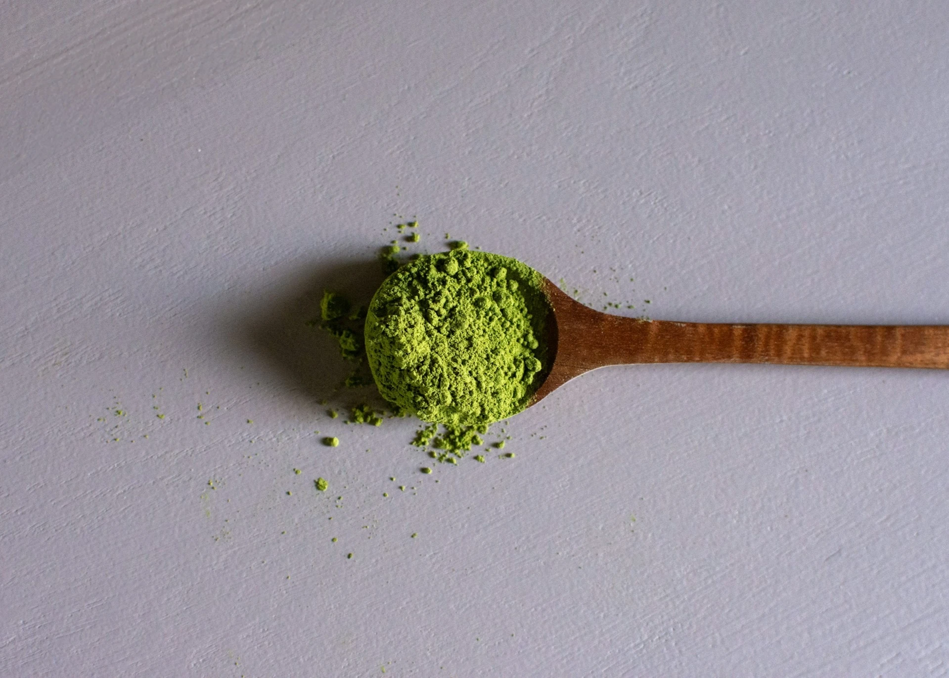Home 18 LPF™ drying technology for algae biomass