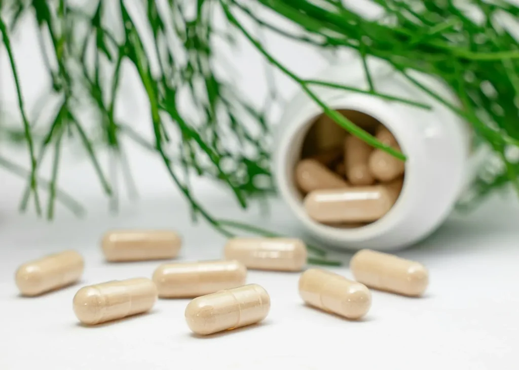 Home 19 nutraceutical drying technology