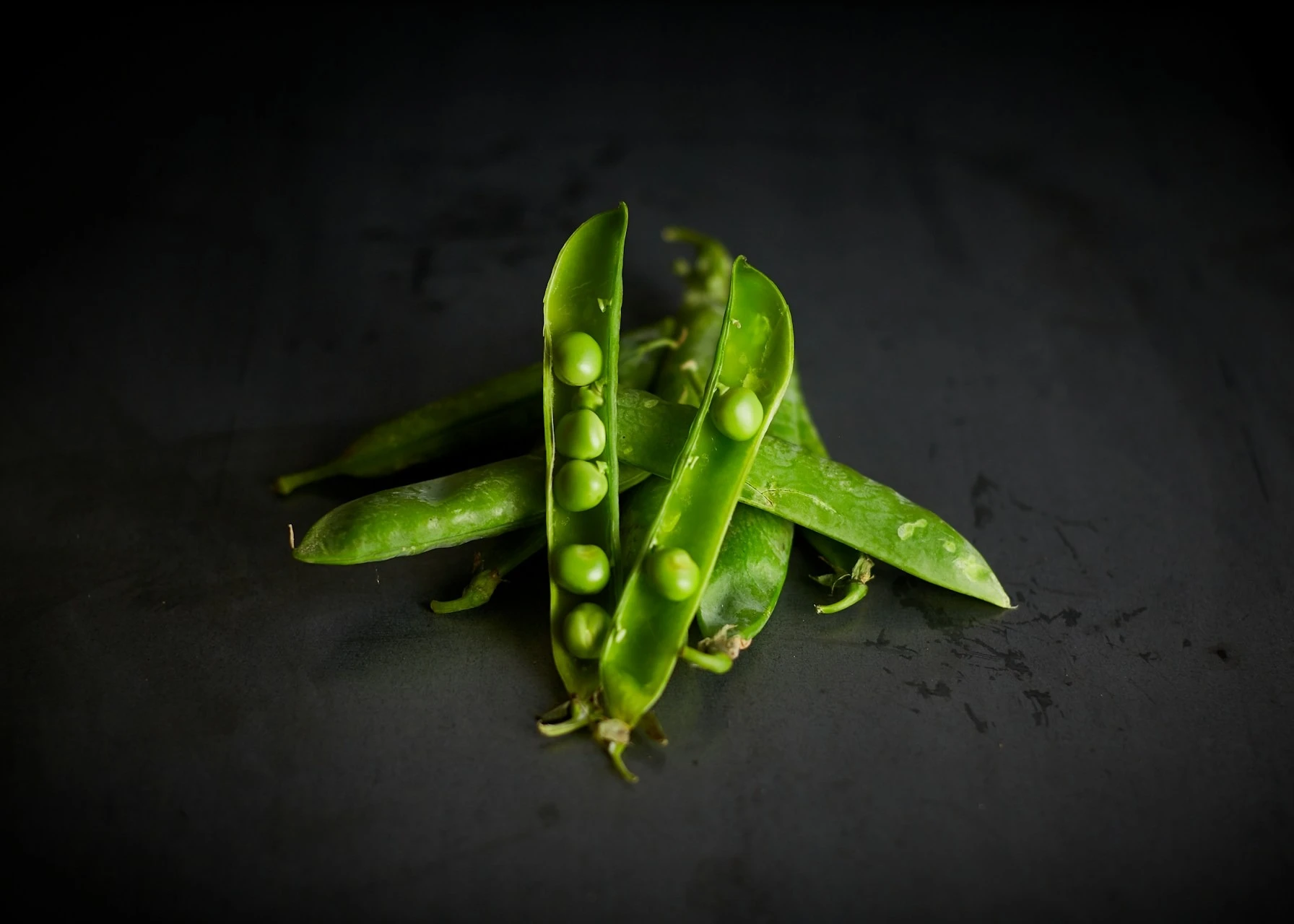 Home 11 LPF™ drying technology for plant-based proteins