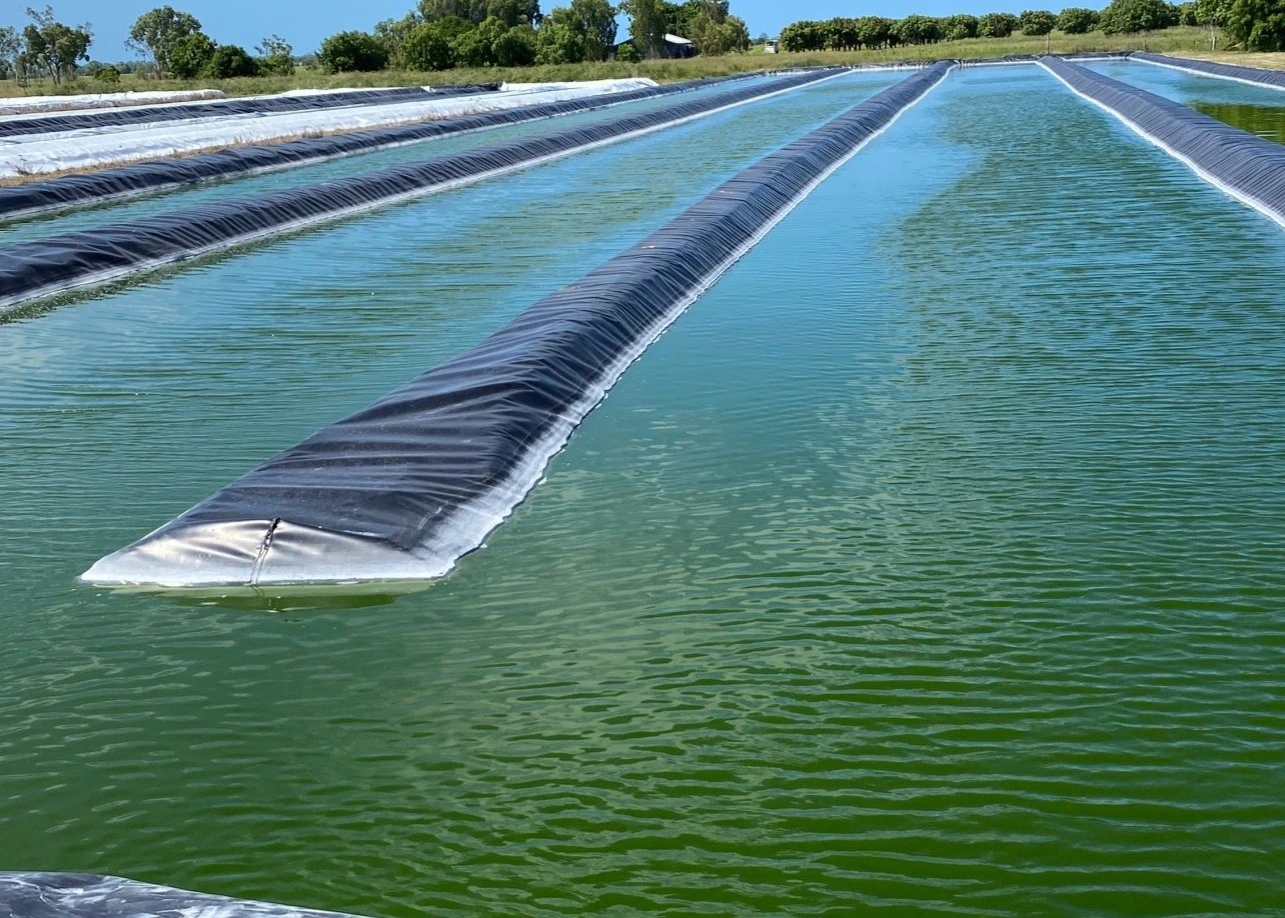 Wastewater Management - ZeroPoint Evaporator™ 8 algae biomass drying