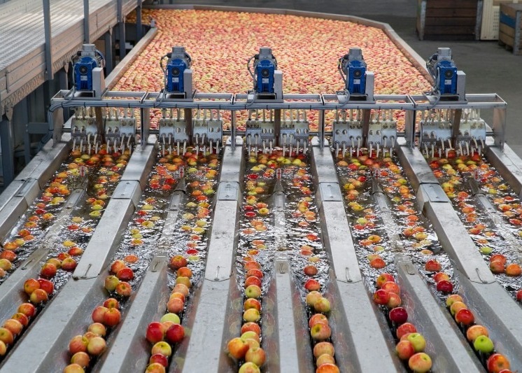 Wastewater Management - ZeroPoint Evaporator™ 9 food washed in food processing plant